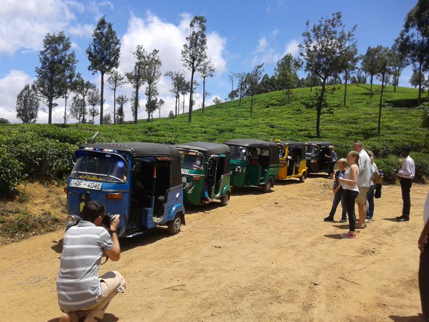 Nuwara Eliya: Ella & Little Adam's Peak All-Inclusive Tour - Tour Highlights for Scenic Delights