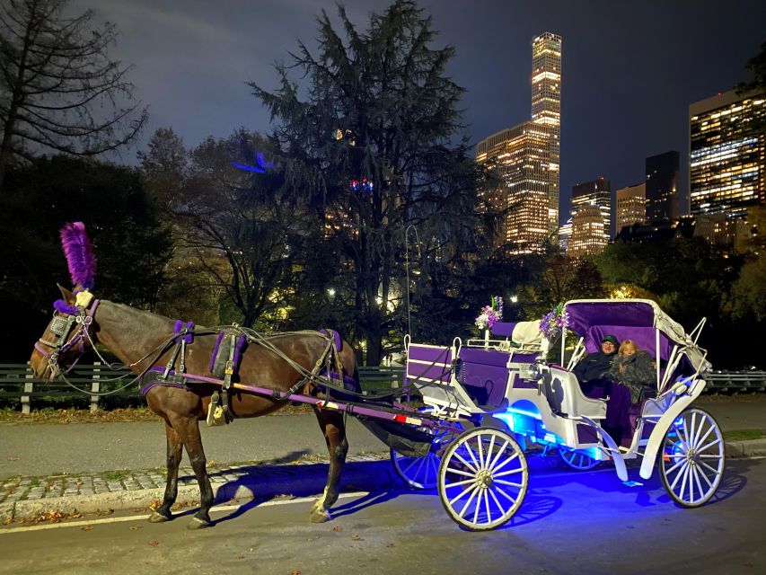 NYC: Guided Central Park Horse Carriage Ride - Inclusions