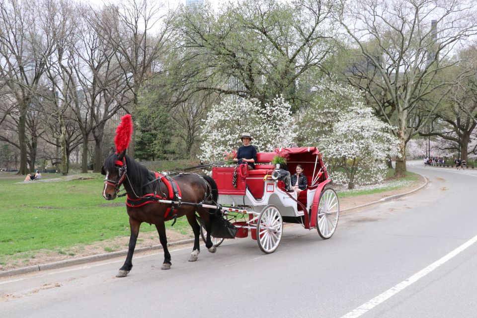 NYC: Guided Standard Central Park Carriage Ride (4 Adults) - Ride Description