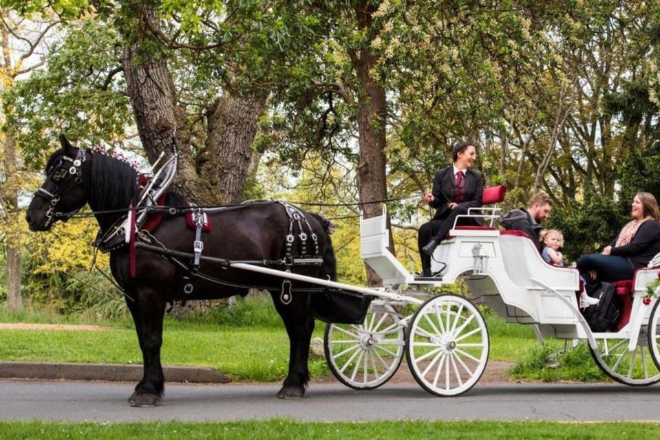 NYC: Private Central Park Horse Carriage Ride With Guide - Service Quality