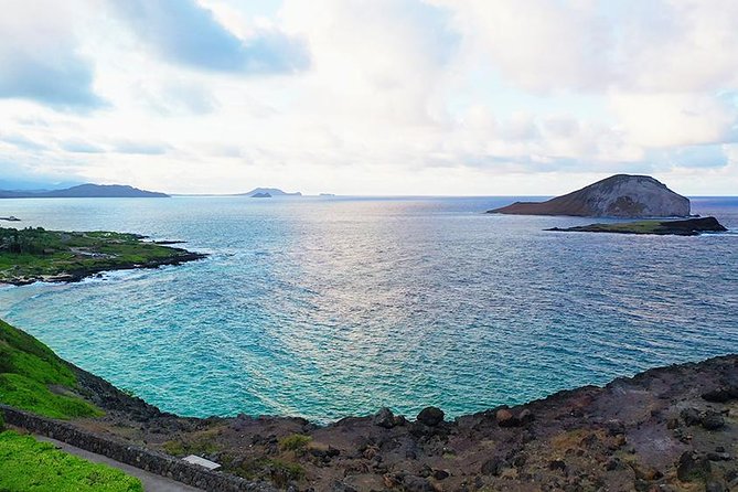 Oahu Circle Island - North Shore Snorkeling Tour (Dole & Temple) - Snorkeling Experience