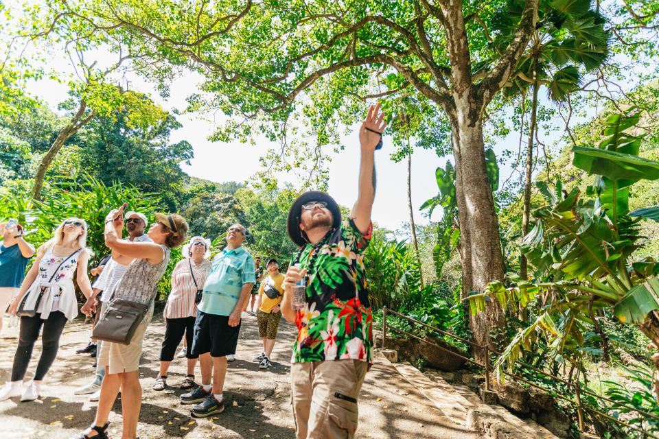 Oahu: Circle Island Tour With Lunch & Waimea Waterfall - Tour Experience Highlights