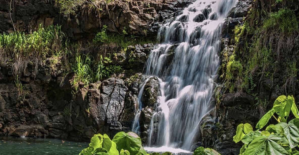 Oahu Hidden Gems & Waimea Botanical Garden/Waterfall Tour - Hawaiian Waterfall Swim