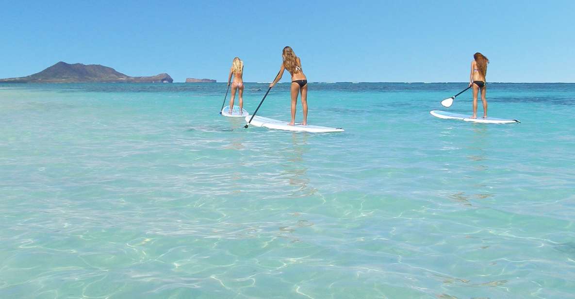 Oahu: Kailua Stand Up Paddle Board Lesson - Review Feedback