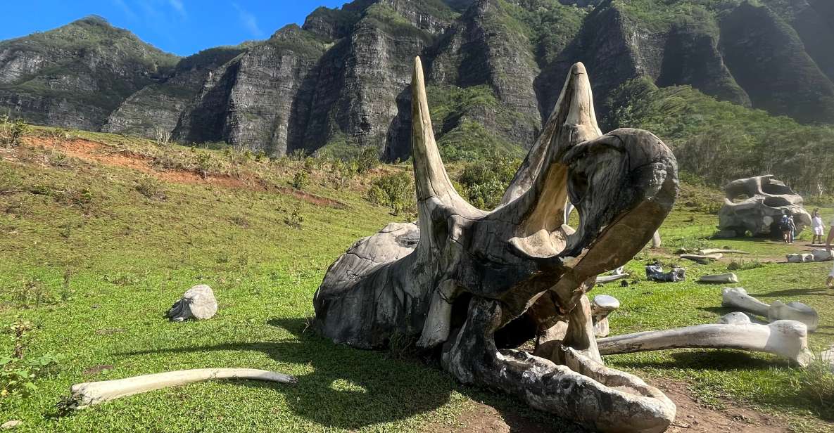 Oahu: Kualoa Movie Sites, Jungle, and Buffet Tour Package - Inclusions and Booking Information