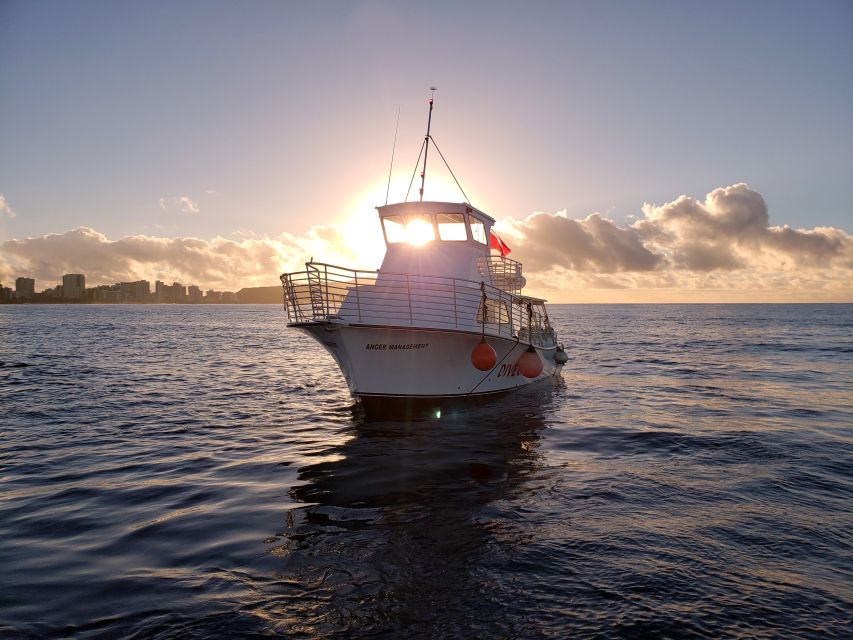 Oahu Night Dive: Adventure for Certified Divers - Equipment and Amenities