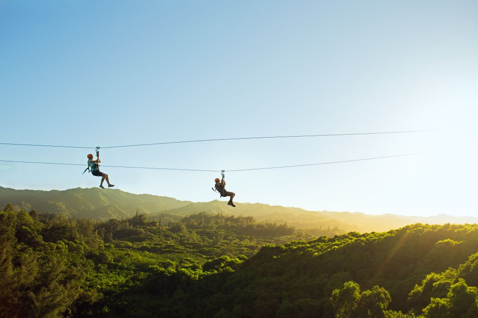 Oahu: North Shore Zip Line Adventure With Farm Tour - Customer Reviews