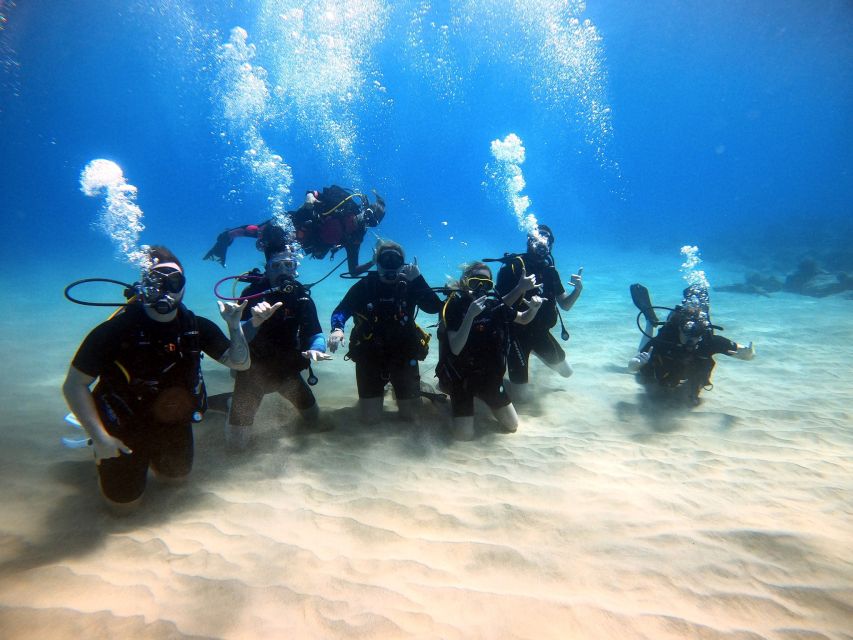 Oahu: Scuba Diving Lesson for Beginners - Activity Highlights
