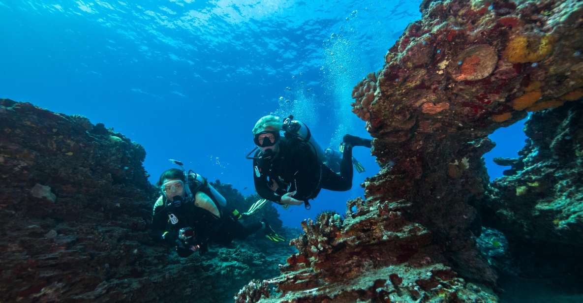 Oahu: Shallow Reef Scuba Dive for Certified Divers - Marine Life Encounters