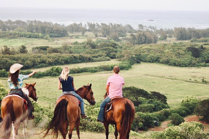 Oahu Sunset Horseback Ride - Customer Reviews and Recommendations