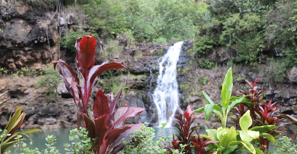 Oahu: Valley of Waimea Falls Swim & Hike With Lunch & Dole - Activity Details