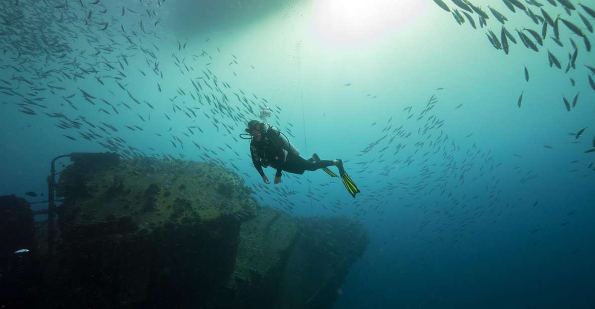 Oahu: Wreck & Reef Scuba Dive for Certified Divers - Important Information for Divers