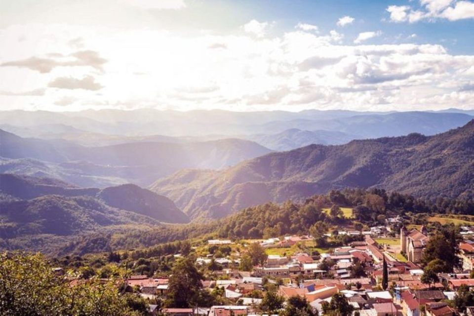 Oaxaca: Forest and Nature Walking Experience - Location Visits