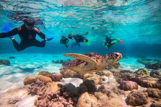 Ocean Safari Great Barrier Reef Experience in Cape Tribulation - Cancellation Policy