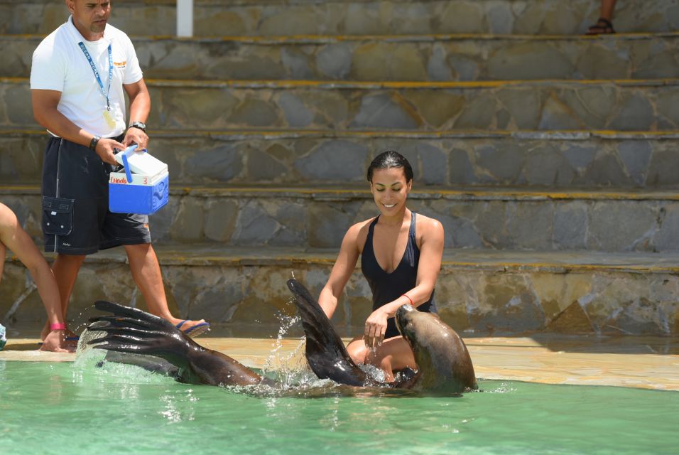 Ocean World Dolphin Swim & Sea Lion Combo From Puerto Plata - Full-Day Excursion