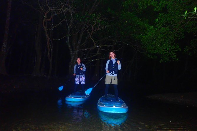 [Okinawa Iriomote] Night SUP/Canoe Tour in Iriomote Island - Additional Information