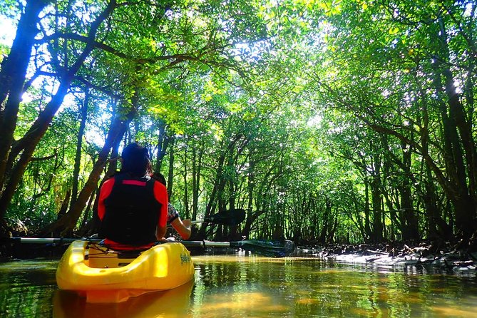 [Okinawa Iriomote] Sup/Canoe Tour in a World Heritage - Additional Information