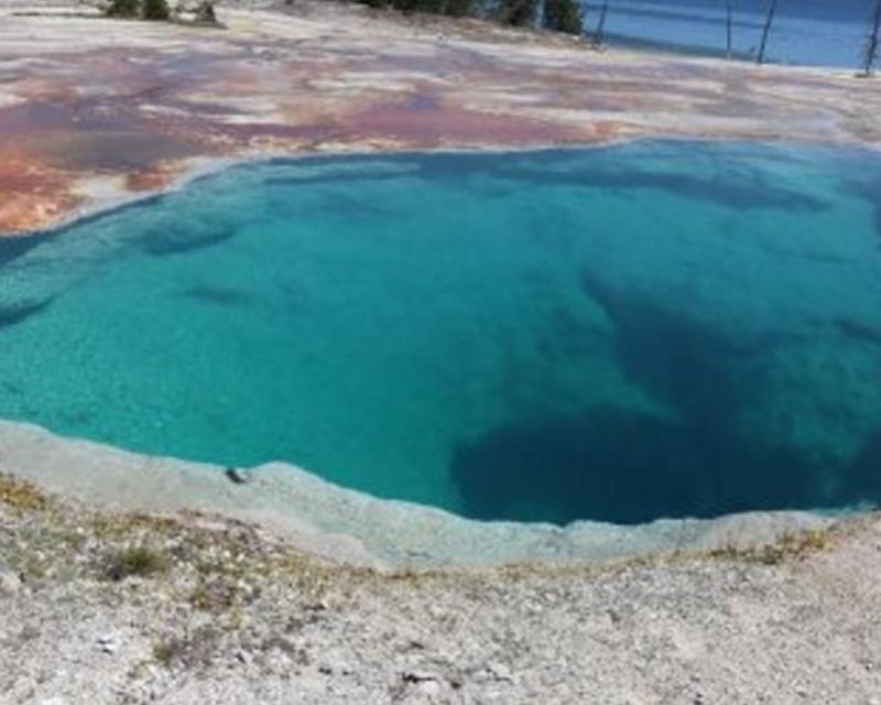 Old Faithful Lower Loop Tours - Wildlife Sightings and Exploration