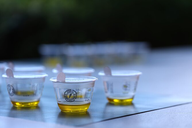 Olive Oil Tasting at the Mykonian Farm - Logistics