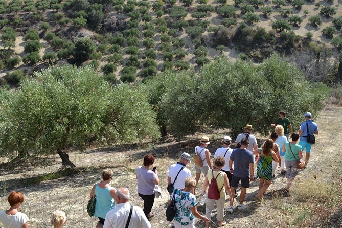 Olive Oil Tasting Tour - Inclusions