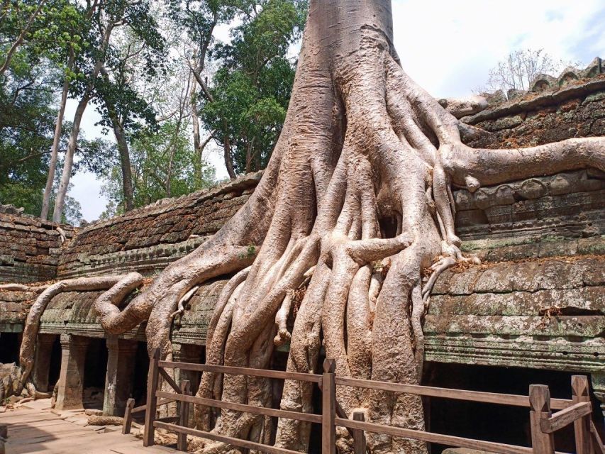 One Day Exploration to Angkor Wat, Angkor Thom & Ta Prohm - Full Itinerary