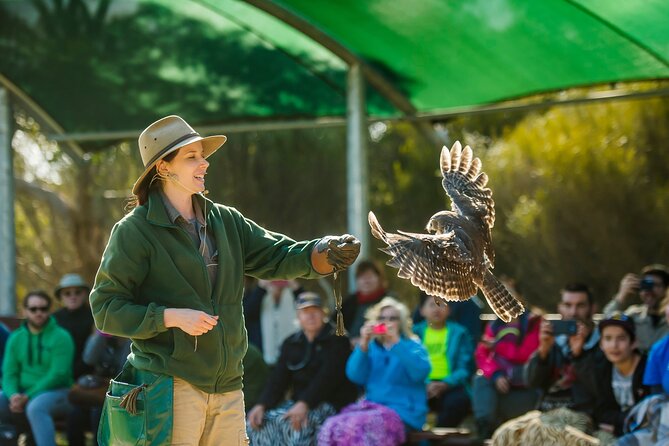 One Day Kangaroo Island Sip & See Tour With Return Ferry Transfers From Adelaide - Ferry Transfers