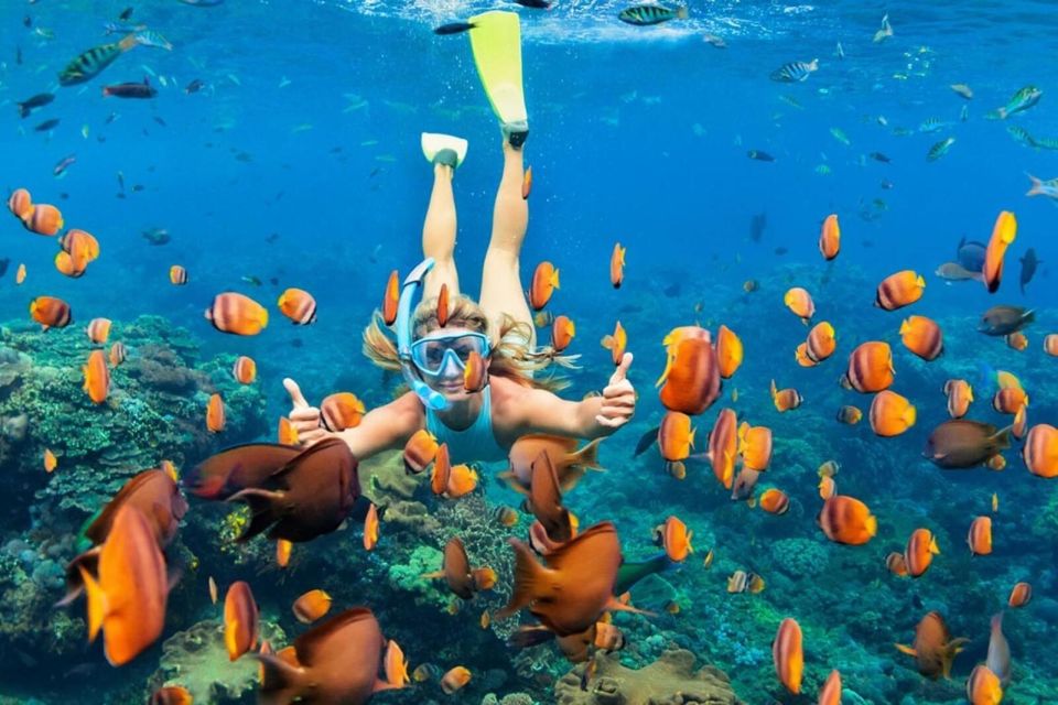 One Day Nusa Penida Snorkeling and Island Tour Combination - Customer Reviews and Ratings