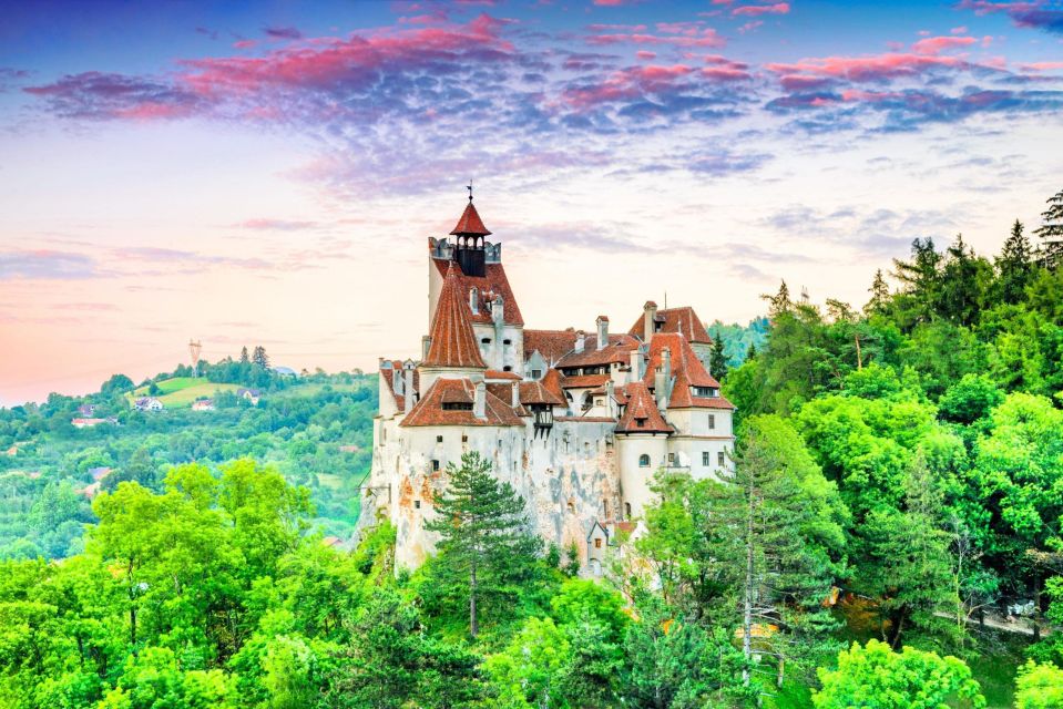 3 one day trip bear sanctuary dracula castle One Day Trip Bear Sanctuary, Dracula Castle