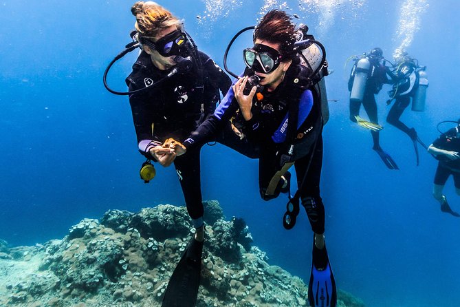 Open Water Course in Nusa Lembongan - Get Certified on Remote Island (Next Bali) - Operational Hours