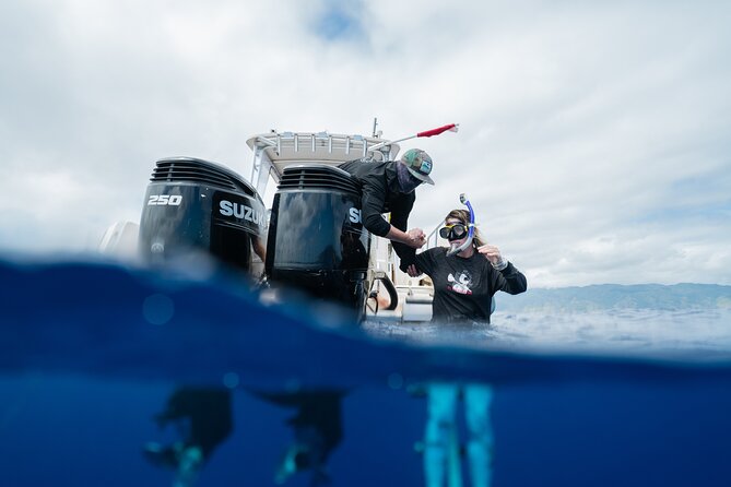 Open Water Shark Dive - Shark Species Encounter