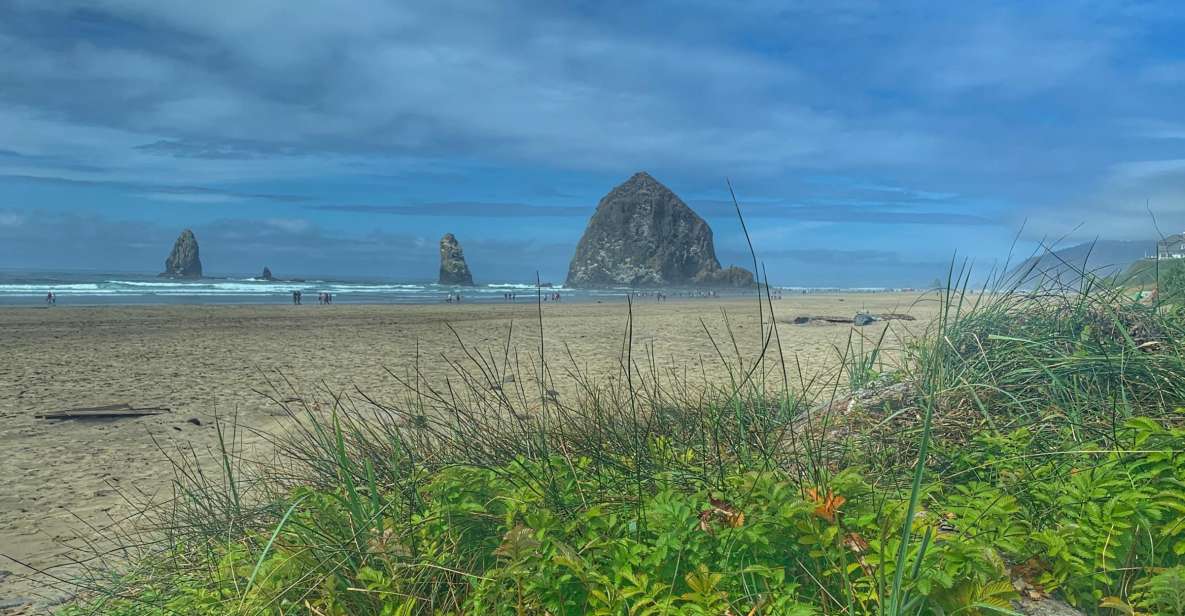 Oregon Coast Day Tour: Cannon Beach and Haystack Rock - Review Summary