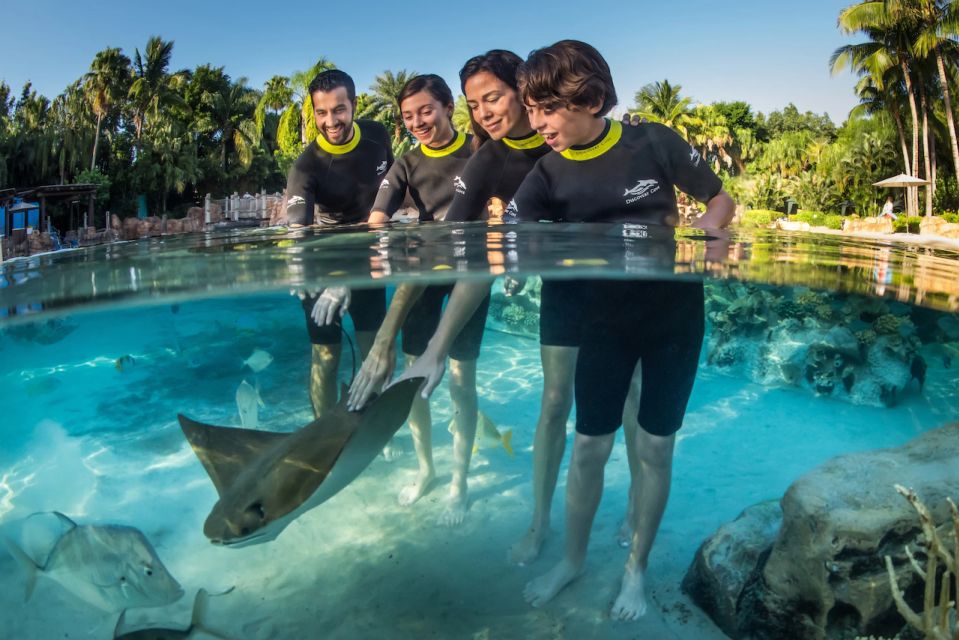 Orlando: Discovery Cove Admission Ticket & Additional Parks - Customer Reviews