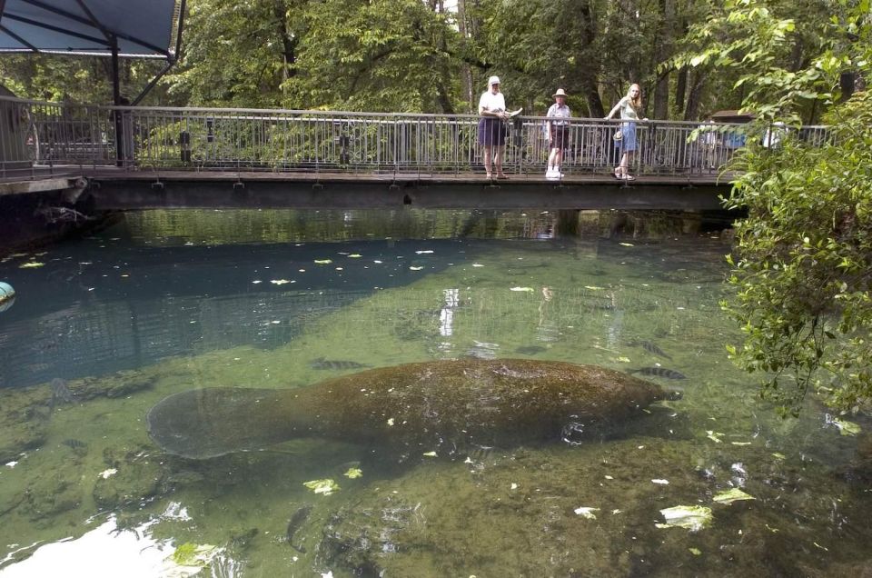 Orlando: Swim With Manatees and Homosassa State Park Visit - Reservation Benefits