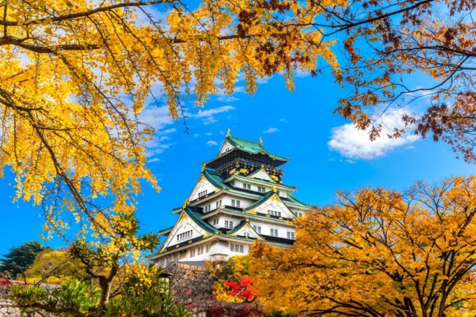 Osaka: 10-Hour Customizable Tour With Private Car - Inclusions and Highlights