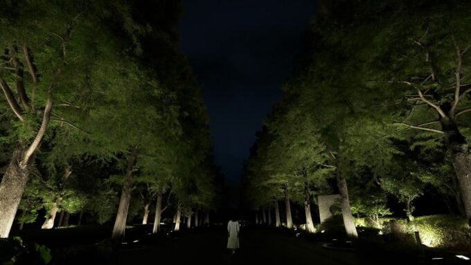 Osaka: Teamlab Botanical Garden Entry Ticket - Art Installations