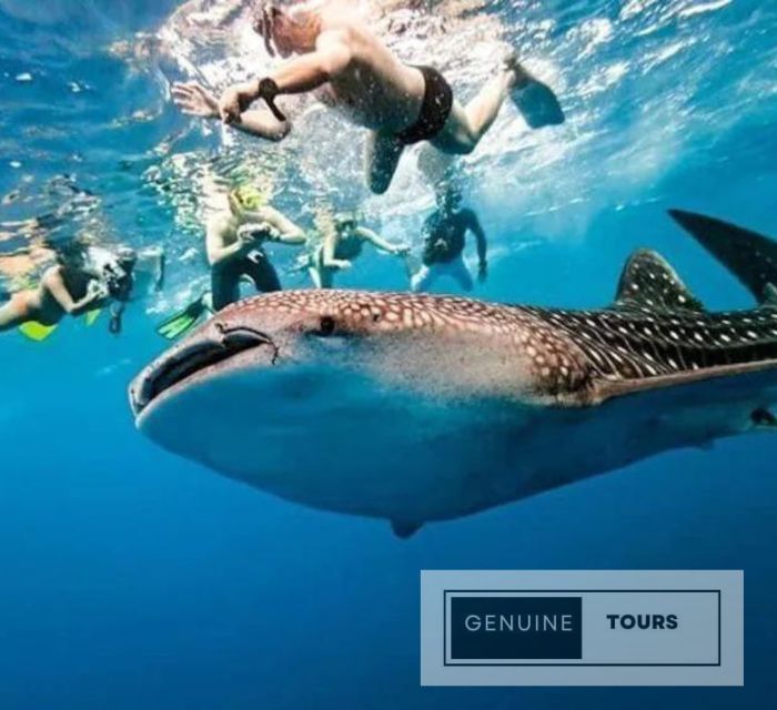 Oslob: Whaleshark & Canyoneering - Canyoneering Adventure Details