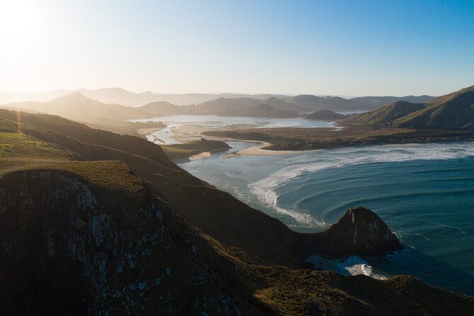 Otago Peninsula In-Depth Tour & Blue Penguins Pukekura Experience - Cancellation Policy Details