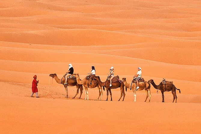 Overnight Camp Camel Trekking In Merzouga - Tour Expectations