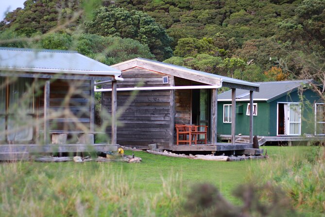 Overnight Experience Tour on Kapiti Island - Logistics