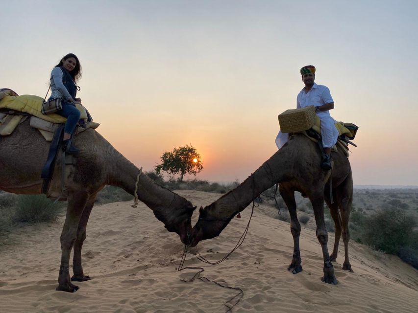 Overnight Stay Camping With Camel Safari Jodhpur With Sumer - Pickup & Drop-off Location