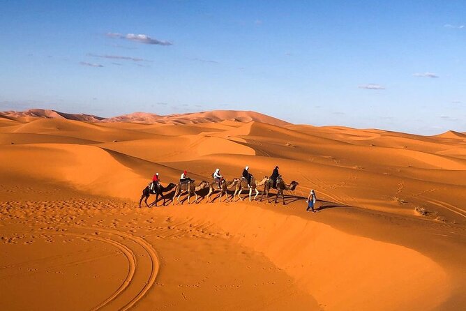 Overnight Stay in Desert Camp & Camel Trekking in the Sahara - Reviews and Ratings