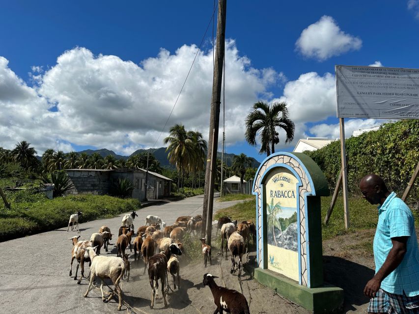 Owia Salt Pond and Black Point Tunnel Tour - Experience Highlights and Activities