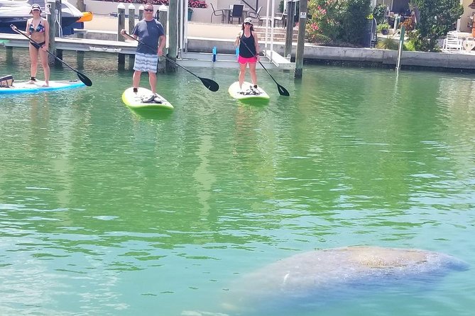 Paddleboard Tour Through Lido Mangrove Tunnels - Last Words