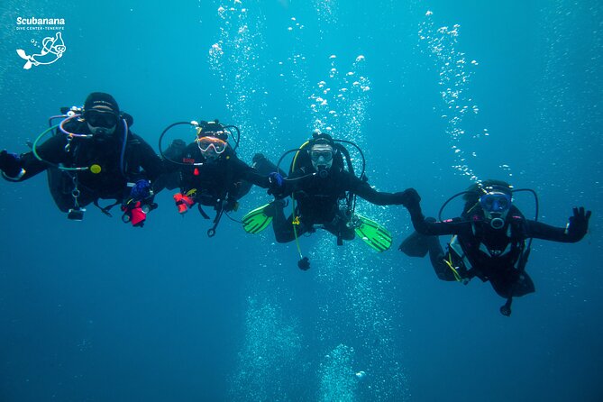 PADI Advanced Open Water Diver Course (AOWD) - Dive Details