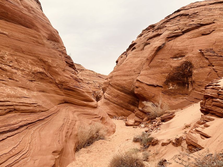 Page: Mountain Sheep Slot Canyon Guided Hiking Tour - Activity Highlights