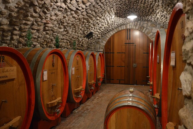 Pagus Wine Tours - a Taste of Valpolicella - Half Day Wine Tour - Winery Experience and Wine Selection