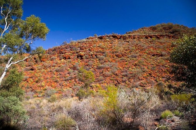 Palm Valley 4WD Tour From Alice Springs - Cancellation Policy