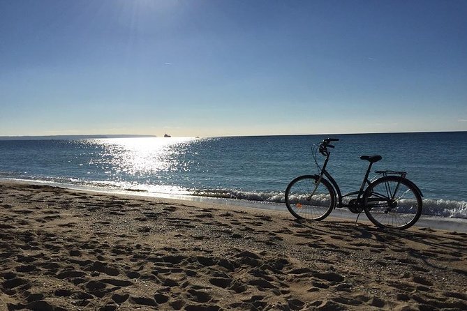 Palma De Mallorca 3-Hour Highlights and Tapas Tasting Bike Tour - Customer Reviews