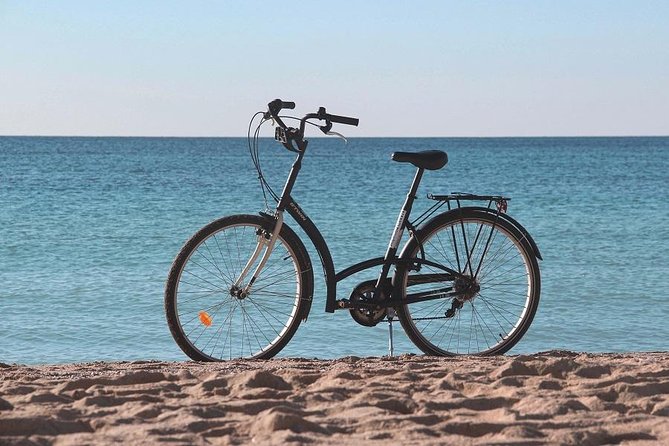 Palma De Mallorca Easy Bike Tour - Traveler Experience