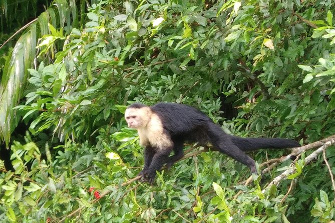 Panama Canal Tour and Gatun Lake Ecotour - Eco-Friendly and Safety Measures